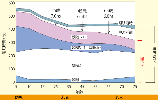 図２　年齢によって睡眠時間は異なる