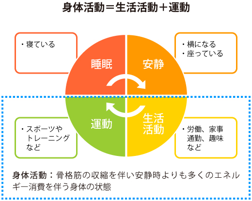 図３　身体活動の定義