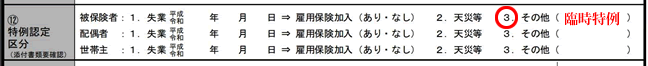 【図表4】免除・猶予申請書の「特例認定区分」欄への記入