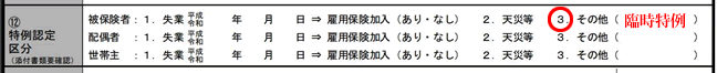【図表４】免除・猶予申請書の「特例認定区分」欄への記入
