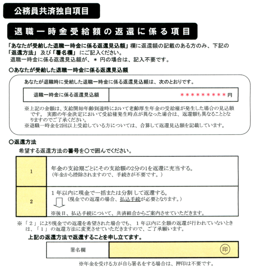 【公務員共済 独自項目】のサンプル図