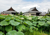 岐阜県羽島市 市民部保険年金課国民年金係 写真3