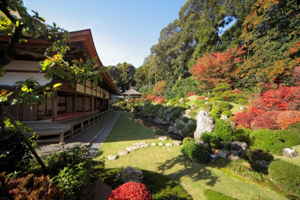 静岡県浜松市 写真６